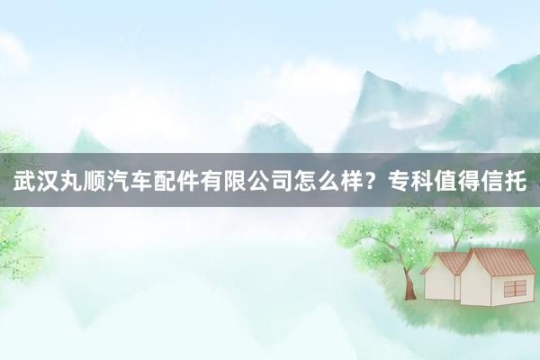 武汉丸顺汽车配件有限公司怎么样？专科值得信托