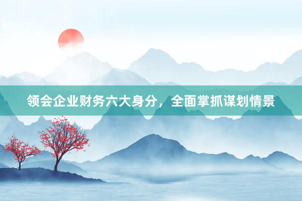 领会企业财务六大身分，全面掌抓谋划情景