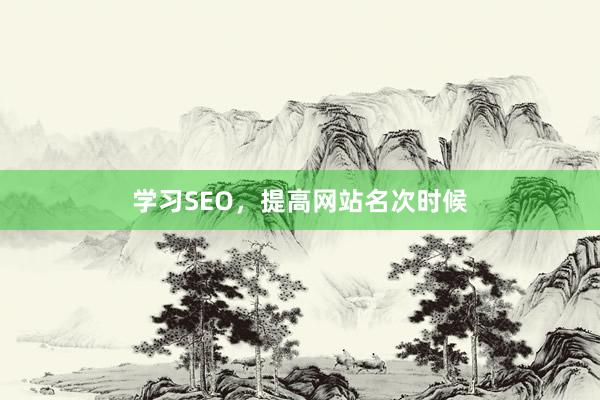 学习SEO，提高网站名次时候